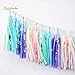 NICROLANDEE 35Pcs Unicorn Iridescent Tassel Garland Unicorn Birthday Bunting Tassel Garland for Party Baby Shower Bunting Rainbow Bunting Iridescent Party