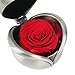 Angel Lover Preserved Flower Rose,Never Withered Roses,Upscale Immortal Flowers,Gifts Women,Her,Girls,Sister, Mother's Day,Valentine's Day,Anniversary,Birthday,Wedding (B Red Rose)