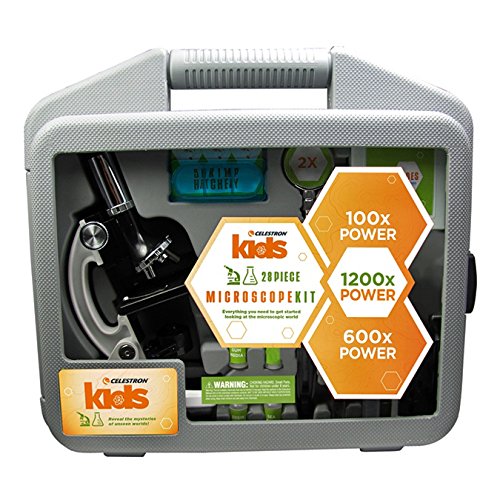 Celestron Beginner Microscope Kit with 100x, 600x, 1200x mag