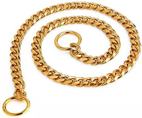 Yunneihe Gold P Slip Chain Stainless Steel Slip Dog Training Choke Collar - Heavy Duty for Small Medium Large Dogs Control Training Walking (M (10mm22"), Gold)