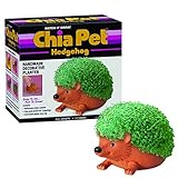 Chia Pet Planter- Hedgehog