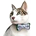 Blueberry Pet Gift Box with Pack of 2 Handmade Dog Cat Bow Tie, Polka Dots Designer Bowtie Set, 4