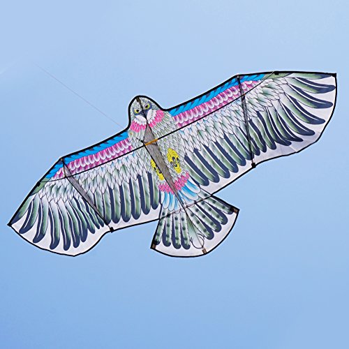 Besra 72inch 3D Eagle Bird Kite with Flying Tools Outdoor Fun Sports for Beach & Park (Eagle)