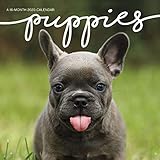 Puppies 2020 Wall Calendar by 