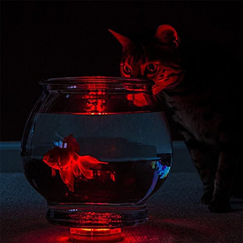 KITOSUN Submersible LED Lights Battery RGBW Multicolors Waterproof LED Light Base with Remote for Wedding Party Events Centerpieces Vases Floral Pond Fish Tank Pool Hot Tub Punk Accent Lighting