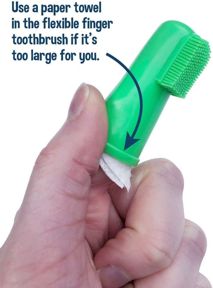 disposable dog toothbrushes
