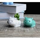 Gift Prod 2 Pcs Pokemon Bulbasaur Flowerpot Modern Cute Home Decorative Ceramic Art Pots Mini Flower Plant Containers Plant Window Boxes (Style 17)