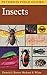 A Field Guide to Insects: America North of Mexico (Peterson Field Guides) primary
