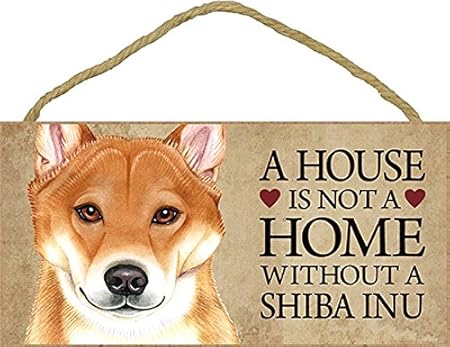 shiba amazon