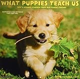 What Puppies Teach Us 2019 Wall Calendar by 