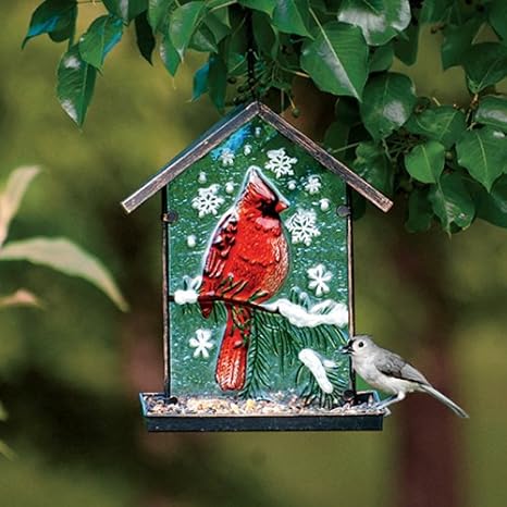 Amazon Com Evergreen Enterprises Inc Winter Cardinal Bird
