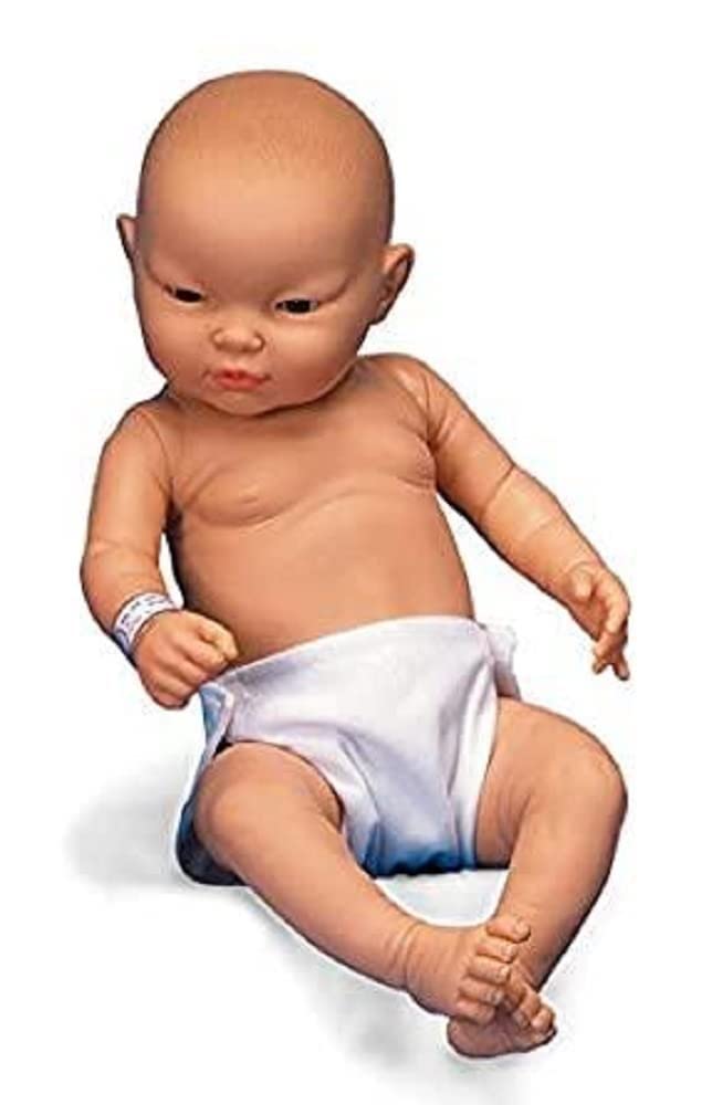 3B Scientific W17002 Asian Baby Care Model, Male