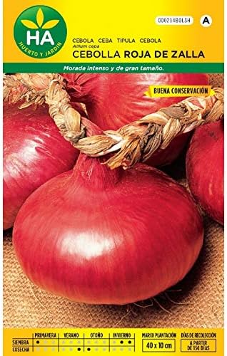 Semillas Batlle - Semillas cebolla roja de zalla: Amazon.es: Jardín