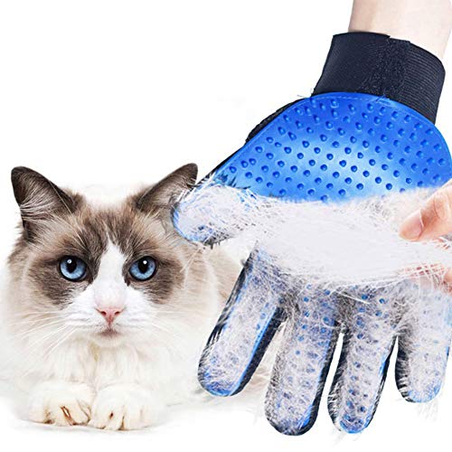 DASHH Glove + Brush for Dogs and Cats, Comb and Self-Cleaning Grooming for Pets, Removing Excess and Dead Animal Hair