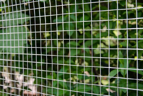 NIEDERBERG METALL 25m x 100cm Volierendraht - Verzinkt 19x19mm - Maschendrahtzaun Kaninchendraht – Bild 8