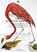 Audubon: Birds of America: Giant Artist's Colouring Book (Multilingual Edition) (English and German Edition)