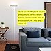 Brightech Sky Flux Dimmable LED Floor Lamp – Super Bright Floor Lamp for Living Room and Offices – Torchiere Standing Lamp with 3 Light Options, Tall Lamp for Bedroom Reading and More - Bronze