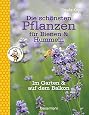 Bienenfreundliche Pflanzen Für Garten, Balkon & Terrasse – Buch Mit Tipps Für Bienen & Hummeln