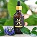 Xponential Beauty PREMIUM Vitamin C Facial Serum with Hyaluronic Acid - 20% Vit C - Remove Wrinkles, Fine Lines NOW - No more Dark Spots - 2 Fl Oz of C20 Vitamin C Serum