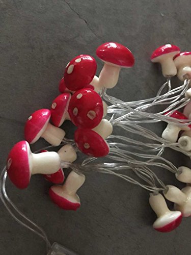 Sunniemart 20 LED Warm White String Light Battery Operated Mushroom Fairy Lights for Christmas, Wedding, Party Decoration