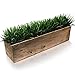 CYS EXCEL Wood Rectangular Planter Box with Removable Zinc Metal Liner (H:6