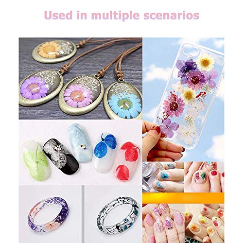 Yakuin 53 PCS Real Dried Pressed Flowers Leaves Petals Colorful Daisies for DIY Candle Resin Jewelry Nail Pendant Crafts Making Art Floral Decors