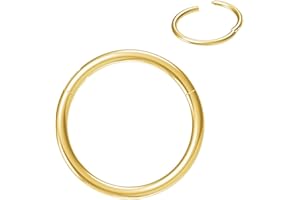 NORO OLO 20g/18g/16g/12g/8g/6g/4g/2g Steel Nose Ring Hoop,Septum Clicker Hinged Segment Jewelry for Cartilage Helix Tragus Co