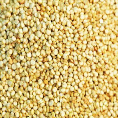 Indus Organics White Quinoa Seeds, 2 Lb Bag, 99% Purity, Pre-Washed, Premium Quality, Non-gmo, Freshly Packed - Thumbnail 5