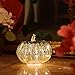 Romingo Mercury Glass Pumpkin Light with Timer for Halloween Pumpkin Decorations Fall and Thanksgiving Decor,Silver, 5.5 inches