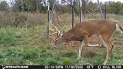 Stealth Cam DS4K Transmit Cellular AT&T OR VERIZON