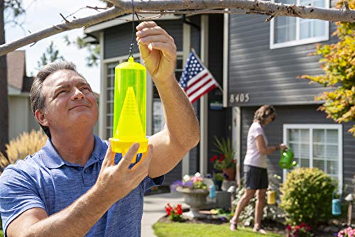 RESCUE Yellowjacket Trap - Image 4