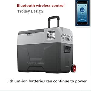 Refrigerador De Coche Auto Portatil del Compresor 12V del ...