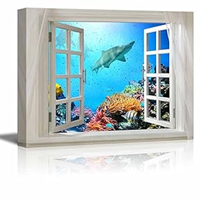 Glimpse into Deep Sea View of Coral and...