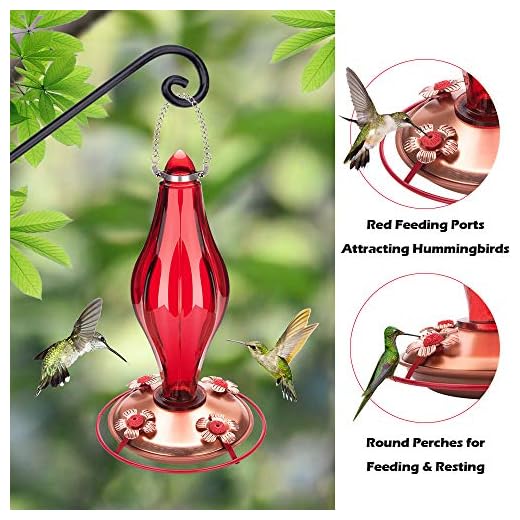 Glass Hummingbird Feeder with Perch 4 Feeding Ports LakeHouseLifer