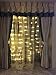 Naisidier 100LED 33 Feet Ball Globe Long String Lights Warm Color Fairy Starry Light for Xmas  Party Home Garden (Warm White)