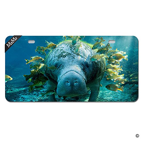 Manatee License Plates | Kritters in the Mailbox | Manatee License Plate