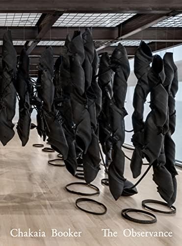 The Contingent Object of Contemporary Art (Mit Press): Buskirk