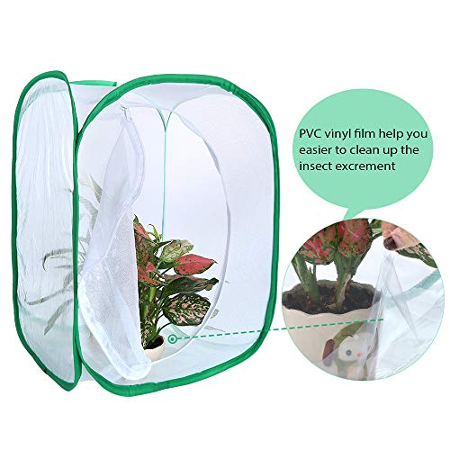 5 Pllieay+Butterfly+Collapsible+Light+transmitting+Activities
