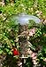 Aspects Super Tube Top II 18 Inch Diameter Dome