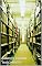 Livro OS FILÓSOFOS DO TEMPO