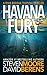 Havana Fury: A Ryan Bodean Tropical Thriller Prequel by David F. Berens, Steven Moore