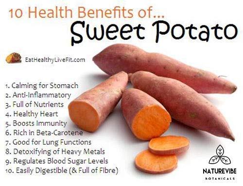 5 Naturevibe+Botanicals+Organic+Supports+Digestion