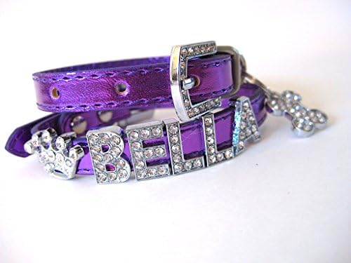 Extra Small Dog Collar | Personalized Dog Collar | chihuahua, yorkie, minion, shih tzu, toy breed (Purple w/leash)