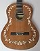 Delfy Df020-008 Solid Cedar Top Solid Rosewood Back and Sides Classical Guitar