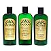 BC Bud Natural Hemp Shampoo & Conditioner & Exfoliating Body Wash Set with Botanical Hemp Oil and Omega 3 for Oily Hair, Itchy Scalp & Thinning Hair, Sulfate Free