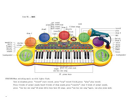 O.B Toys&Gift Musical Instrument Piano Toy 37-Key Kids Electronic Keyboard Organ w/ Stool , Microphone , Record & Playback Custom - Electronic Piano Toy for Kids & Toddler (Blue) - Thumbnail 5