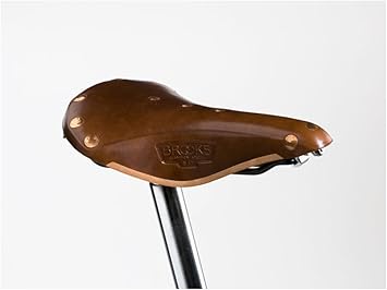 brooks b17 special review