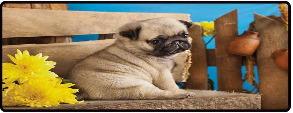 Felpudo con diseño de perro triste y flores silvestres en un banco de