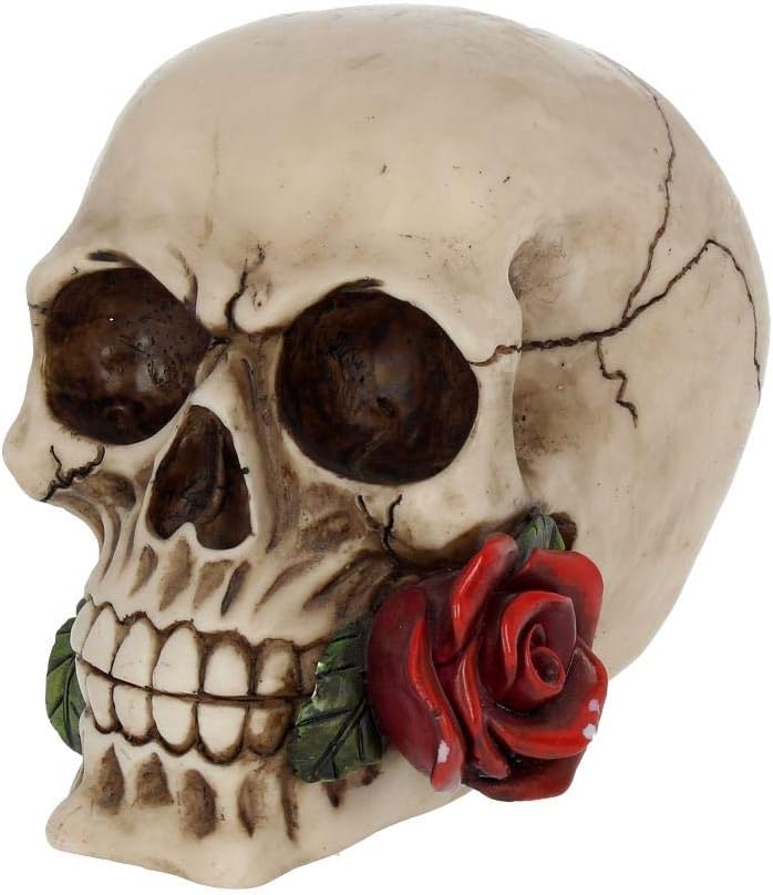 Nemesis Now NEM3721 Rose From the Dead Figurine 13.5cm Ivory, 15cm - Image 3