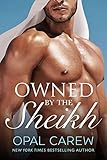 Owned by the Sheikh: An Erotic Romance Collection